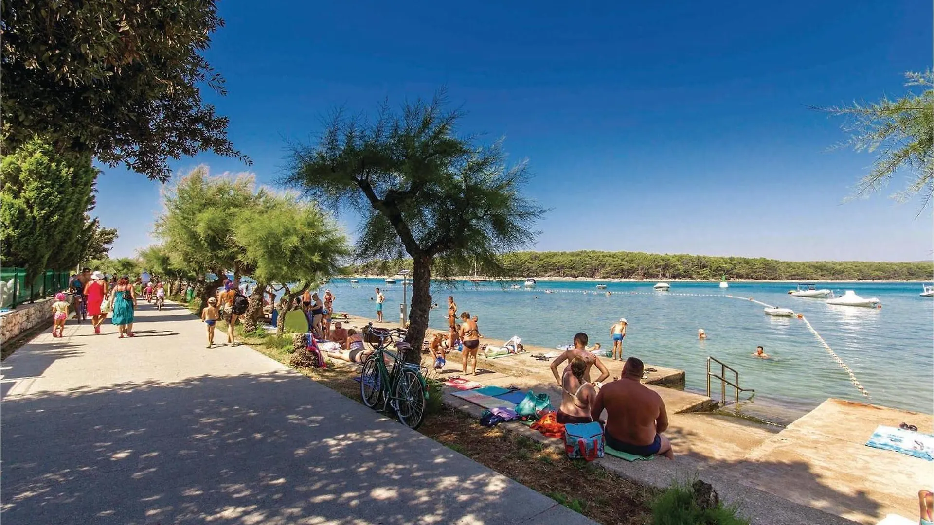 Semesterbostad Pet Friendly Home In Kornic With Kitchen Kroatien